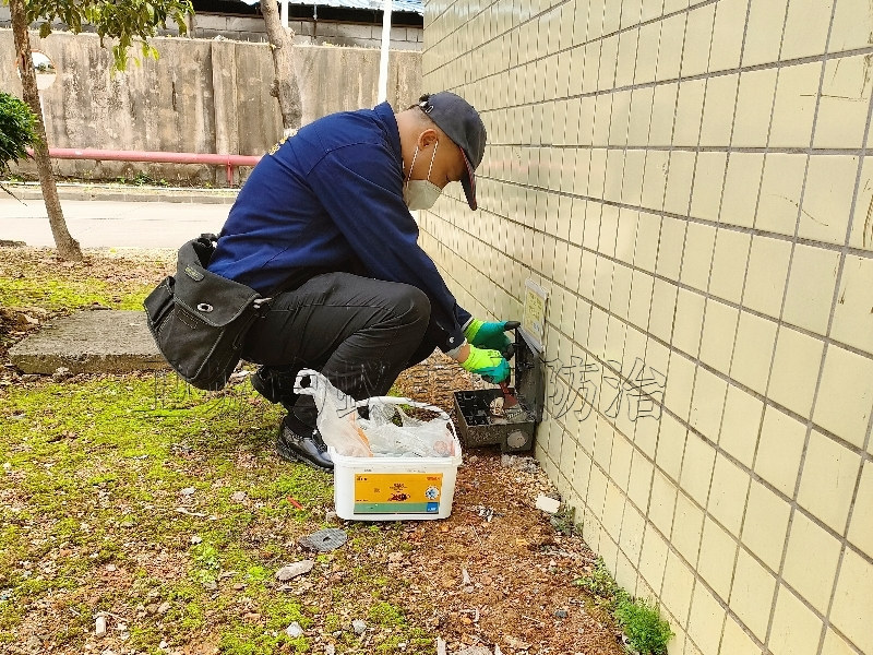 东莞黄江灭鼠公司，常平工厂除四害杀老鼠专业资质验证