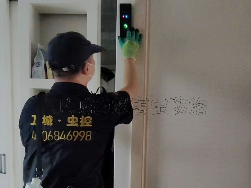 东莞靠谱白蚁防治公司推荐：东莞市卫城白蚁害虫防治有限公司