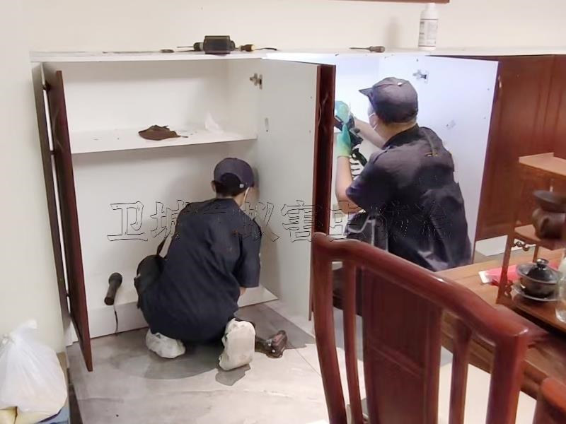 东莞专业杀蚂蚁,东莞灭红火蚁,东莞除黑蚂蚁