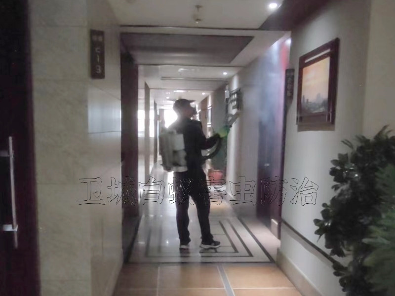 塘厦凤岗工厂除四害,清溪杀臭虫,樟木头白蚁防治公司