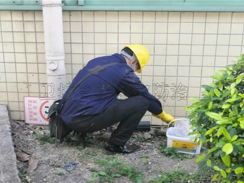 樟木头工厂灭鼠公司、超市灭鼠、专业住宅小区灭老鼠